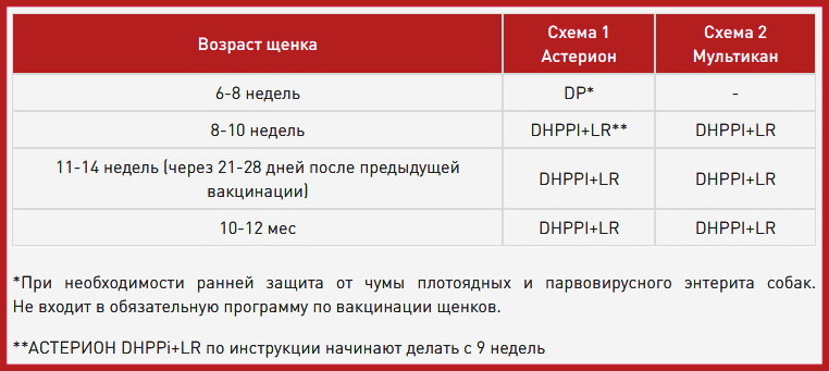 Вакцина против: D — чумы плотоядных, H — аденовирусной инфекции, P — парвовирусного энтерита, Pi — парагриппа, L -лептоспироза, R — бешенства.