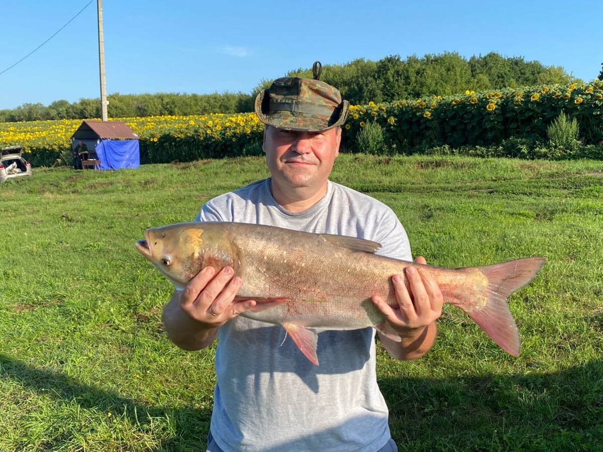   Курские таможенники завоевали золото в областном чемпионате по спортивной рыбалке