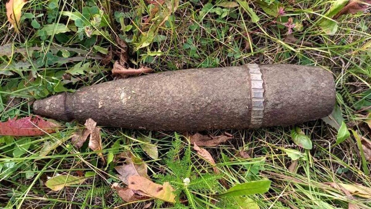    В Курской области вблизи Обояни обнаружен артиллерийский снаряд времен ВОВ