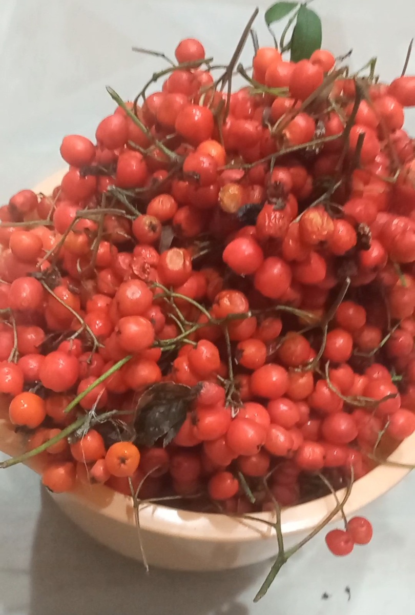 Собрали самые зрелые и сочные ягоды.