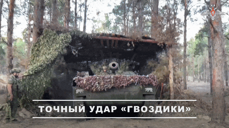 Расчёт САУ 2С1 "Гвоздика" нанес точный удар по опорнику ВСУ // Видео с официального ТГ-канала Минобороны