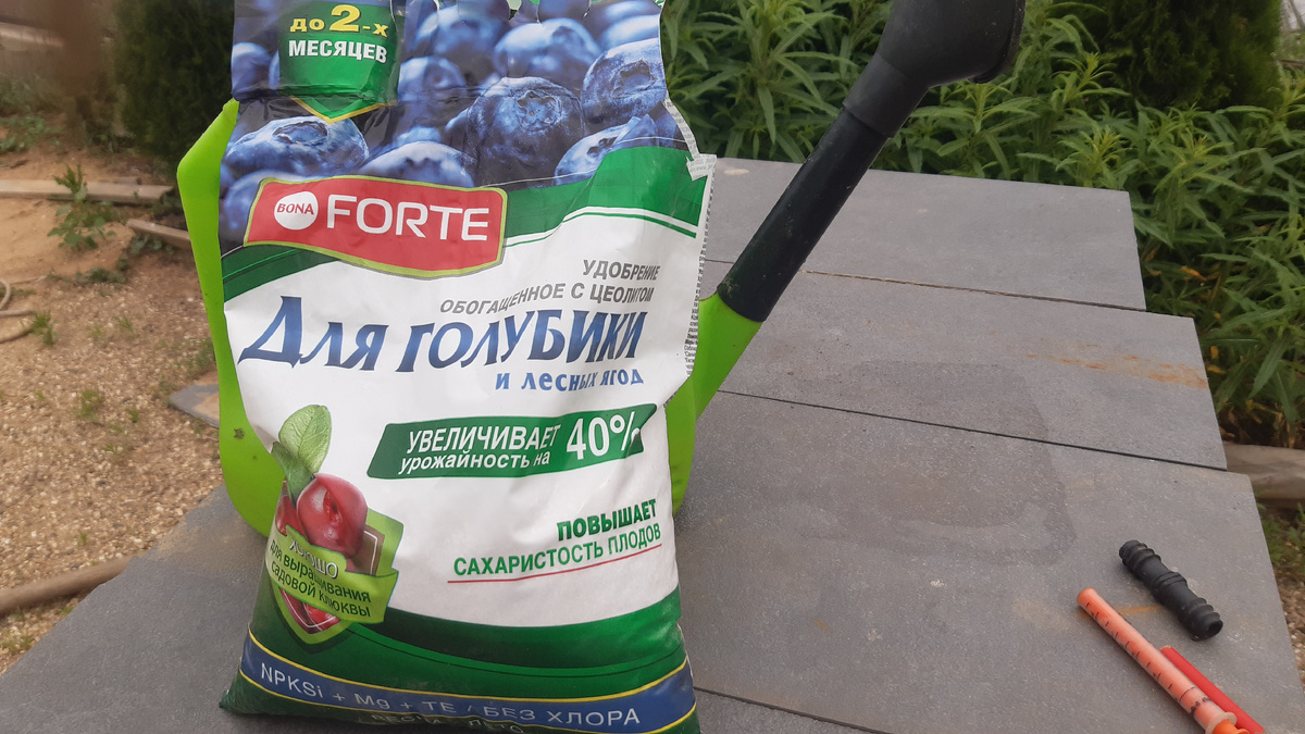 Удобрение для голубики,