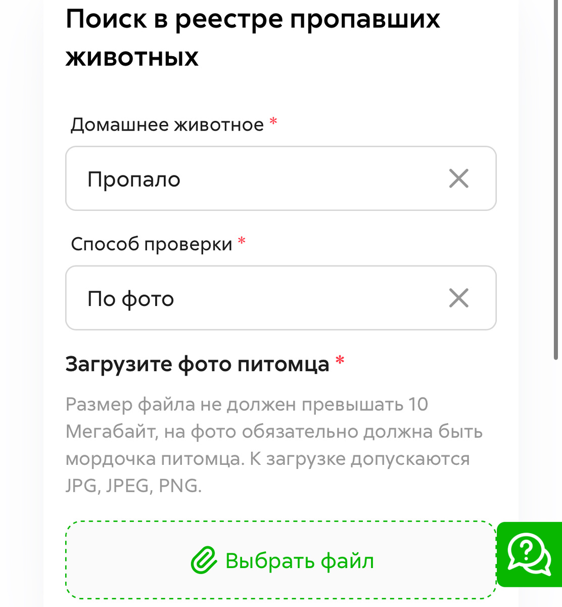 ИИ ищет питомцев по фотографии