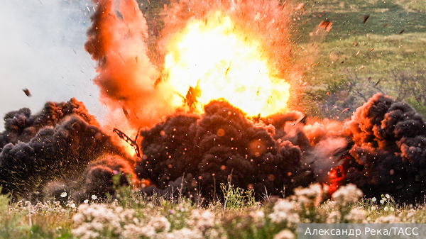     Фото: Александр Река/ТАСС   
 Текст: Мария Иванова