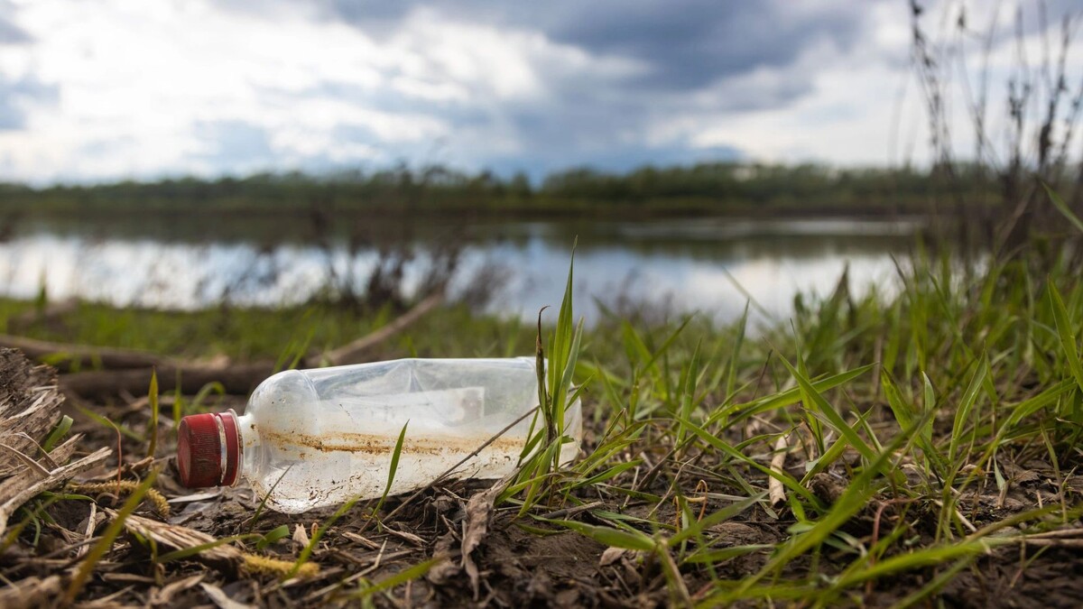    Фото: XArtProduction/Shutterstock/Fotodom