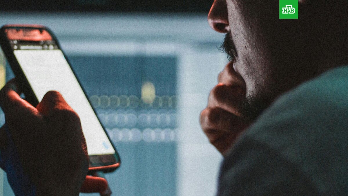    Фото: mehdi lamaaffar / unsplash.com