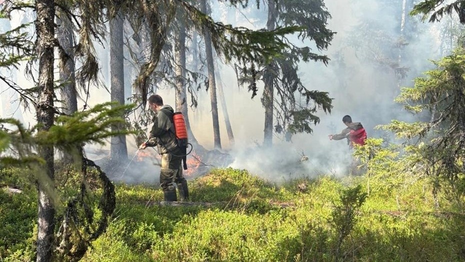   Тушение лесного пожара в Республике Карелия, Российская Федерация. Автор фото: gov.karelia.ru