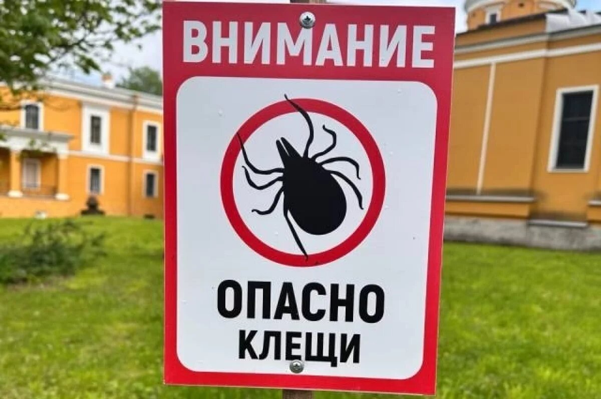    Почти 120 человек пострадали от укусов клещей в Новосибирской области