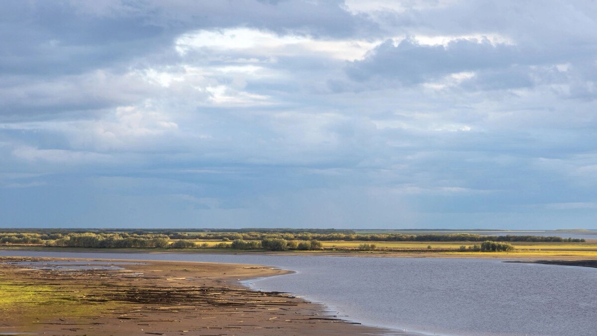   Фото: Федор Воронов / «Ямал-Медиа»