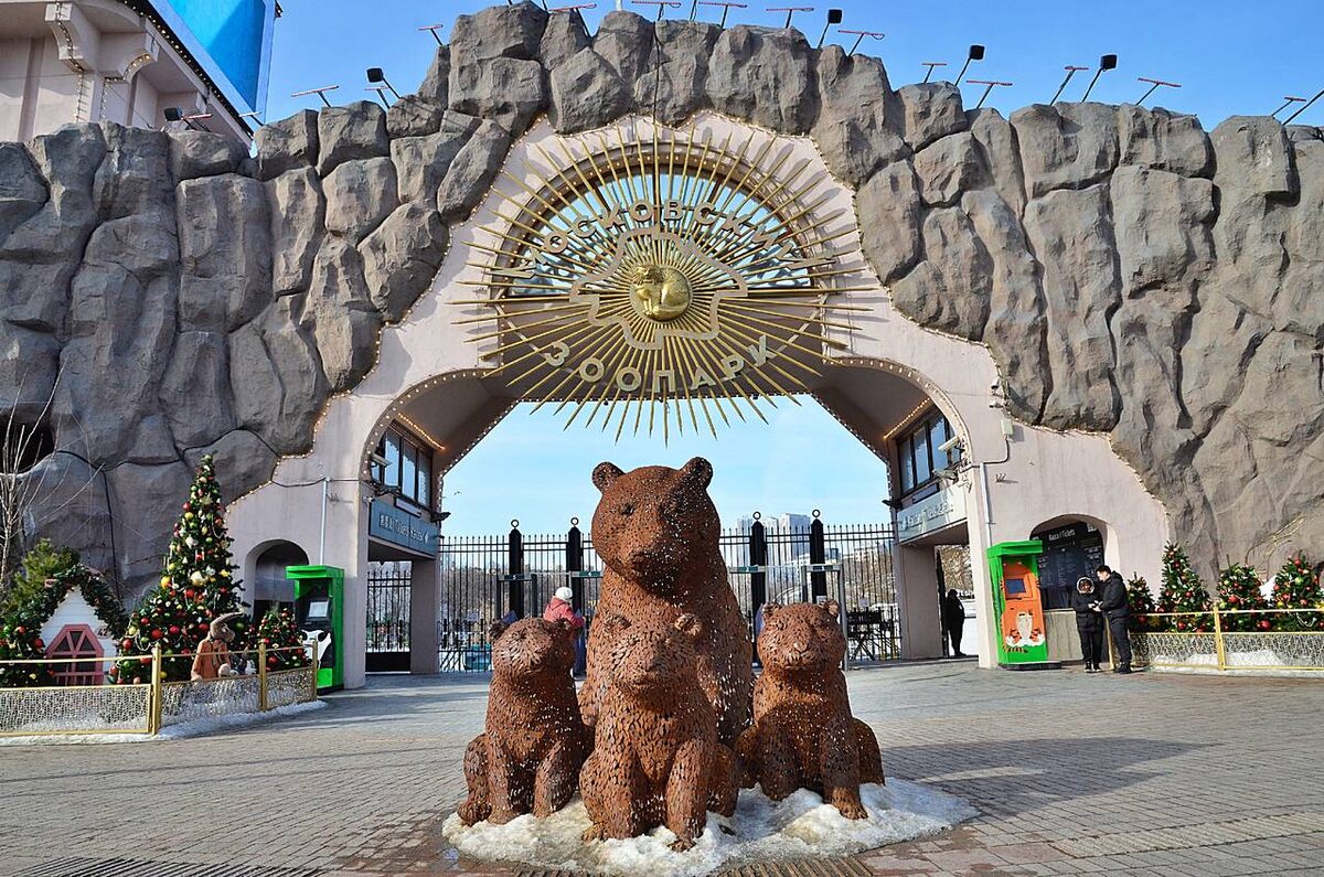 Фото из интернета 