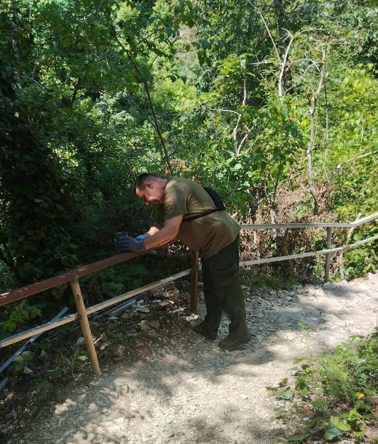    Фото: пресс-служба Сочинского национального парка