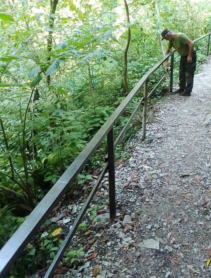    Фото: пресс-служба Сочинского национального парка