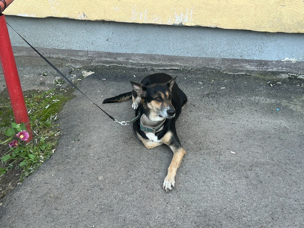    архив samaraonline24.ru