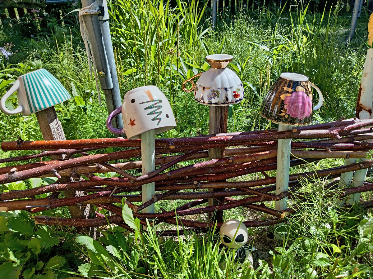 Фото автора.