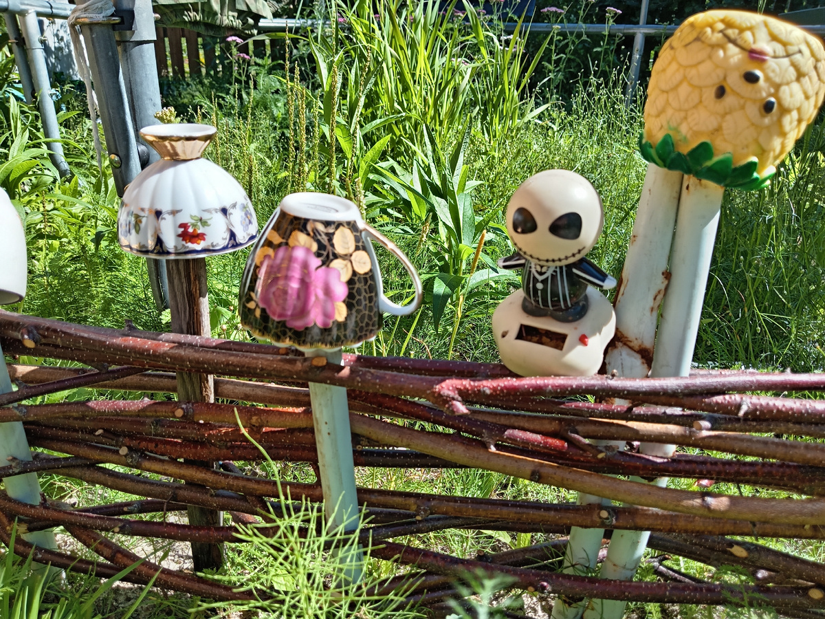 Фото автора.