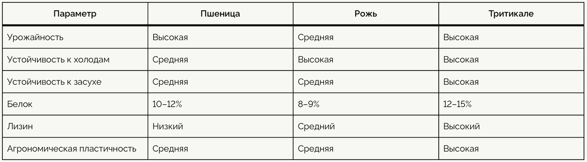 Таким образом, тритикале объединяет плюсы обоих родительских культур и при правильной агротехнике показывает лучшую адаптацию к экстремальным условиям.
