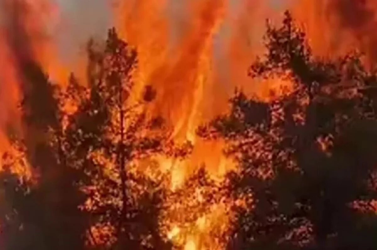    Калужская область попала с зону высокой пожароопасности в августе