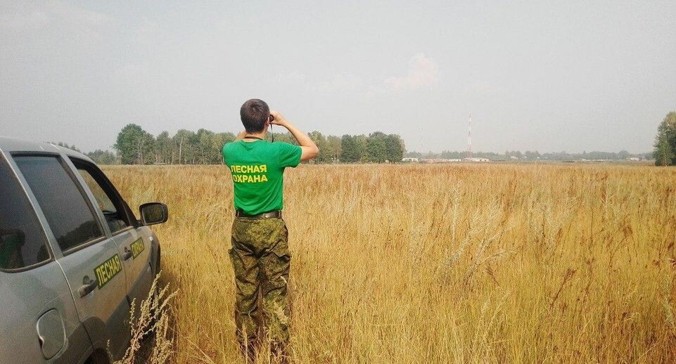    Комитет лесного хозяйства Московской области
