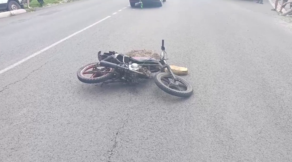 Фото: УМВД по Курской области