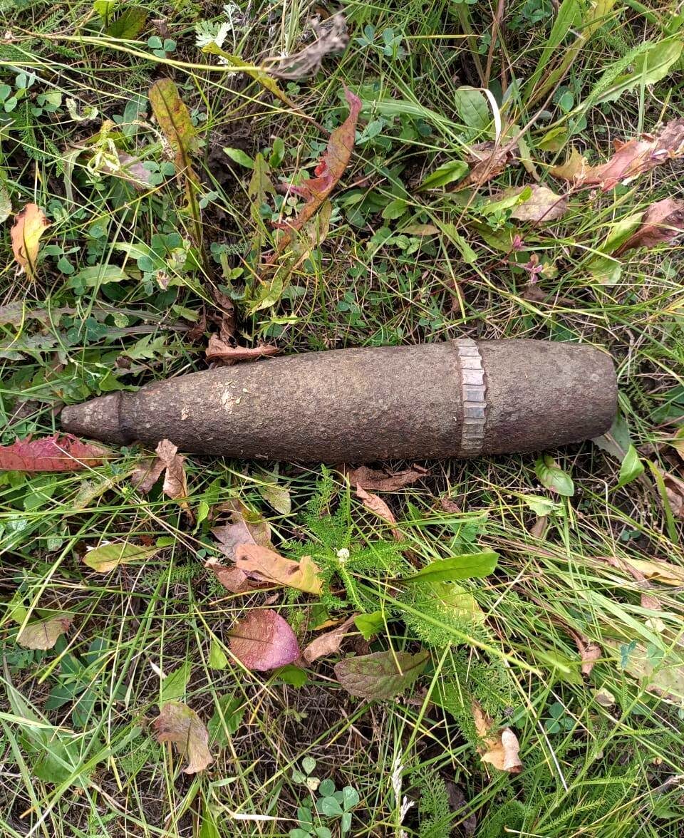 Фото: Аварийно-спасательная служба Курской области