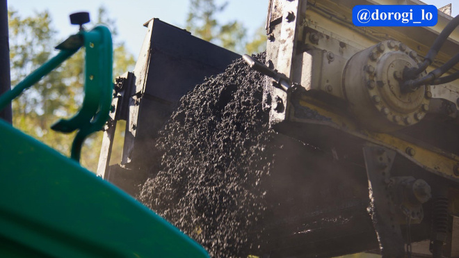 Фото: Dorogi_lo/telegram