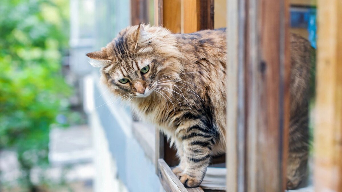    Фото: alexdov/Shutterstock/Fotodom