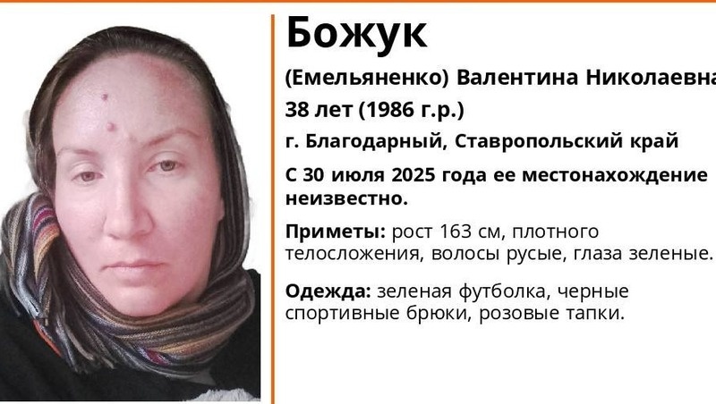      Фото: ПСО «ЛизаАлерт»