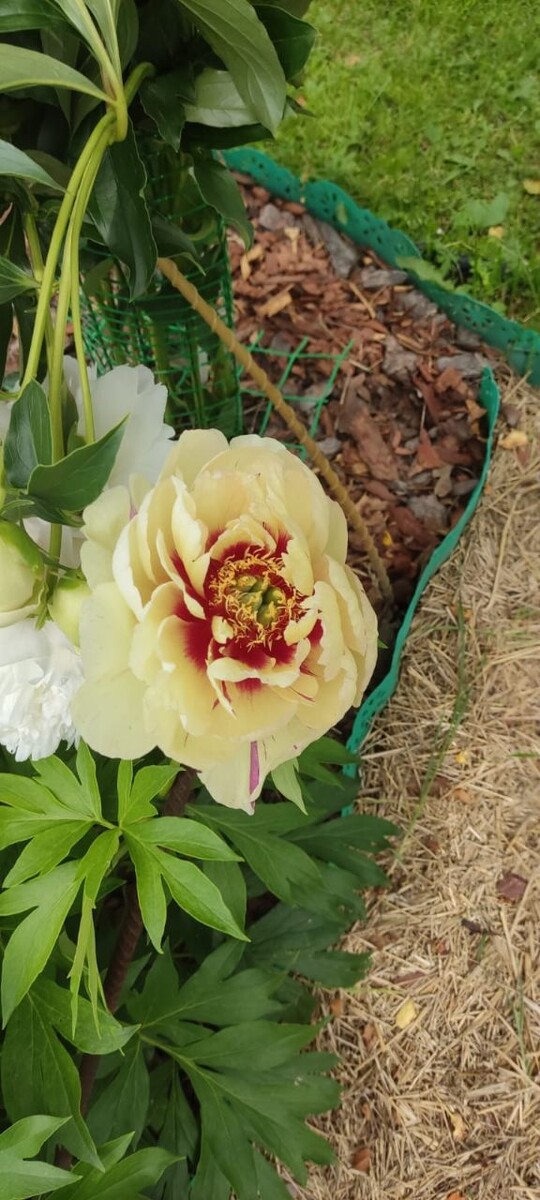 Астрологические тенденции августа 2025 года