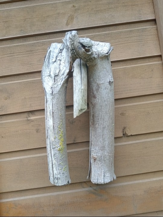 Хтоническое божество. Фрагмент. (с) Фото подписчика, архив канала. При цитировании ссылка обязательна.