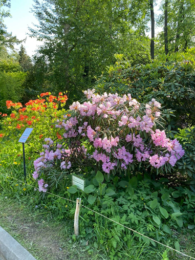 Фотография Анастасии Битюковой