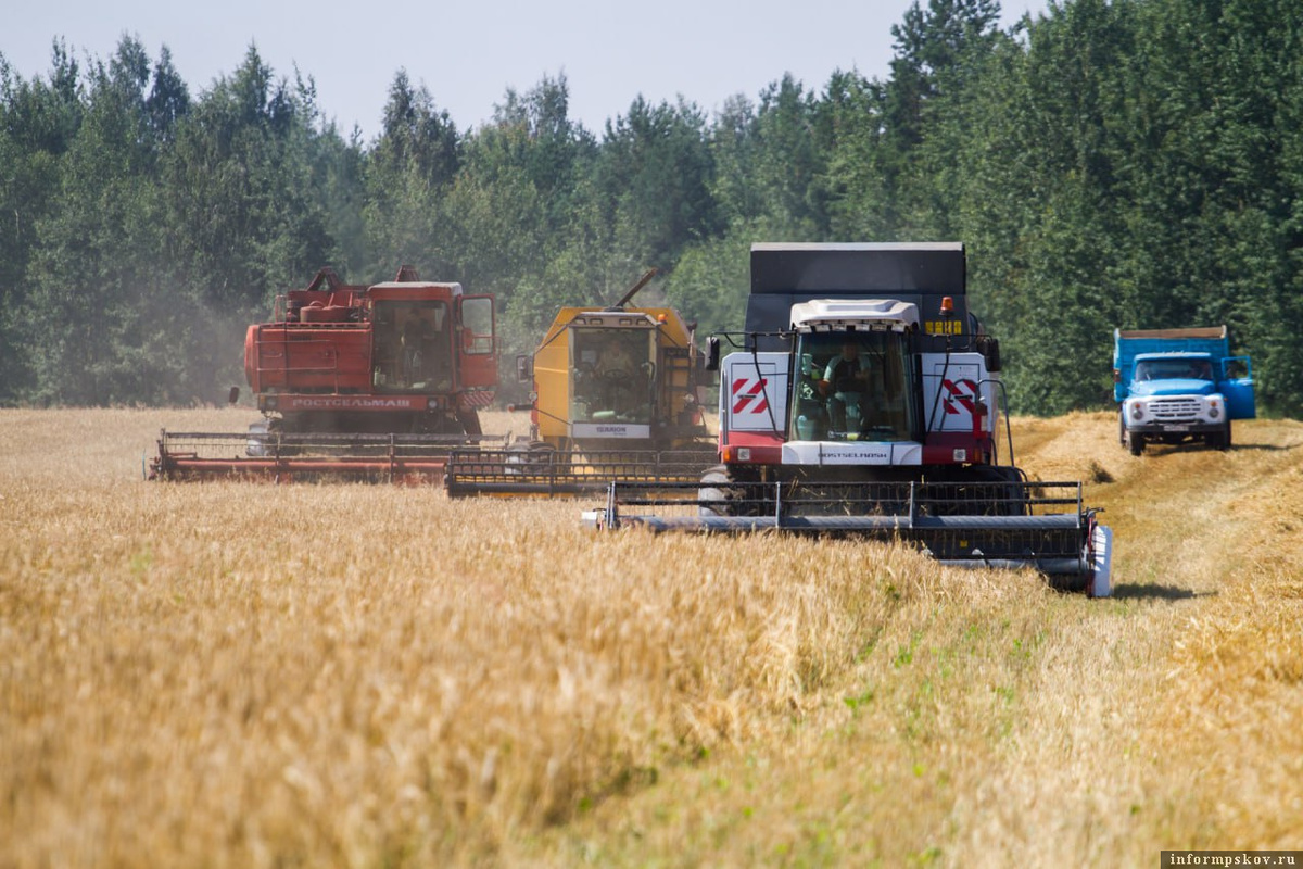 Фото носит иллюстративный характер