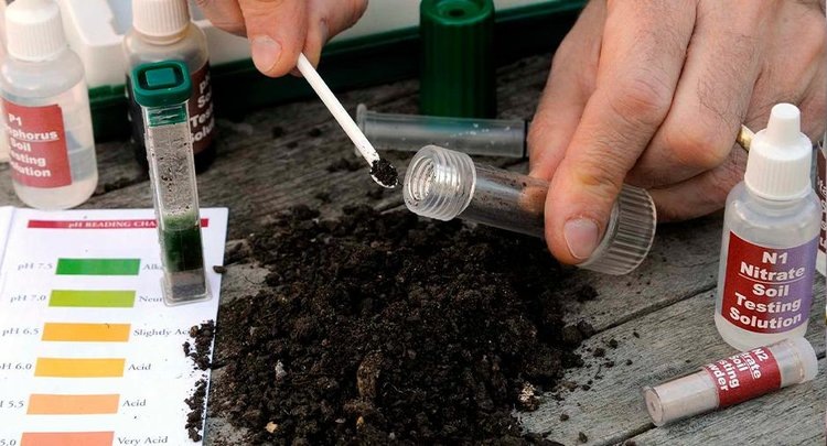    Фото: ФГБУ ЦОК АПК