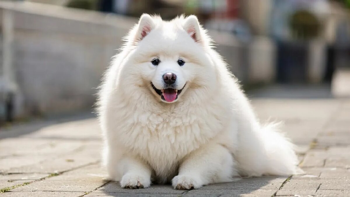    Сгенерировано ИИ