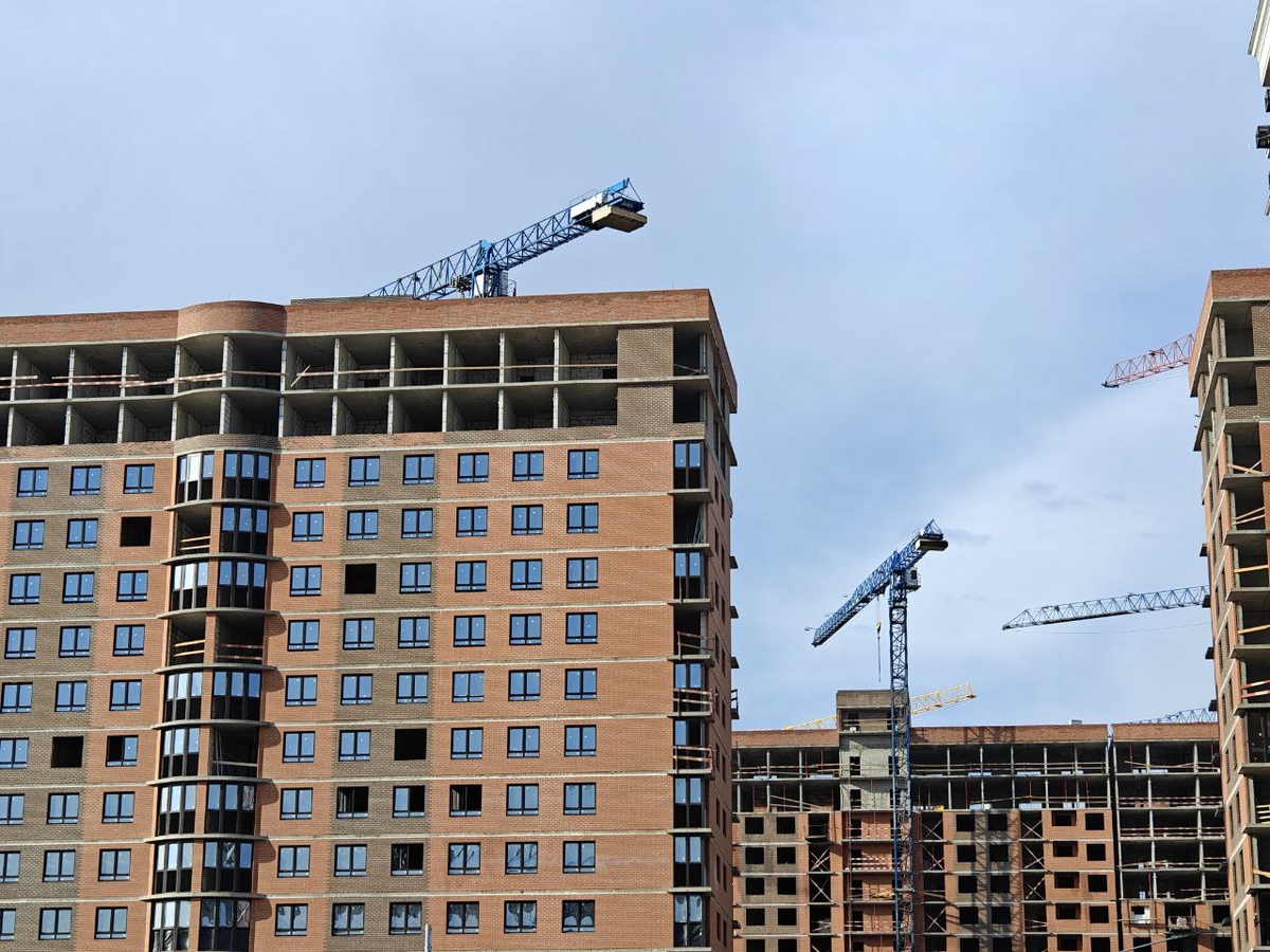    Фото: Юрий Серебренников/BFM Кубань