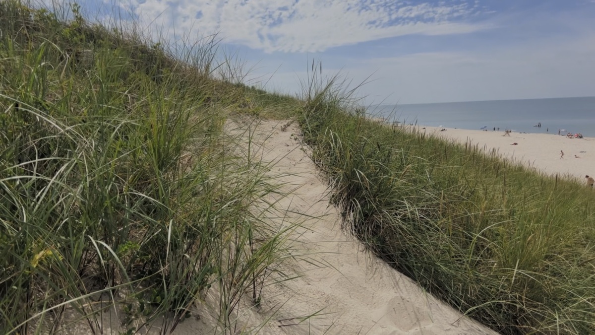 В Зеленоградске тишина начинается не с медитации, а с велосипеда и фразы: «поехали отсюда».