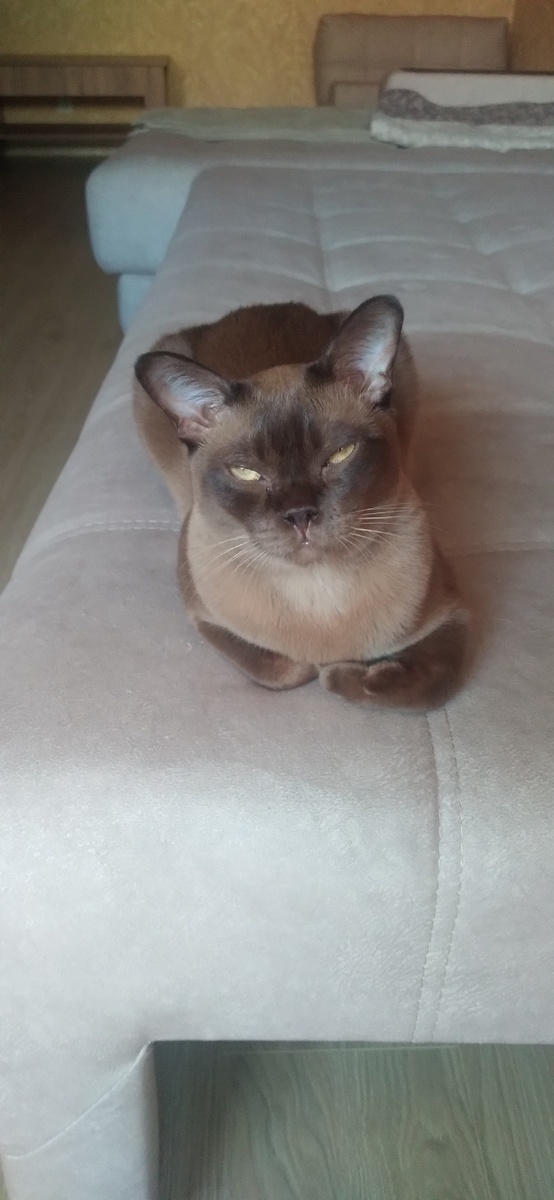 Соломон, день сегодняшний.