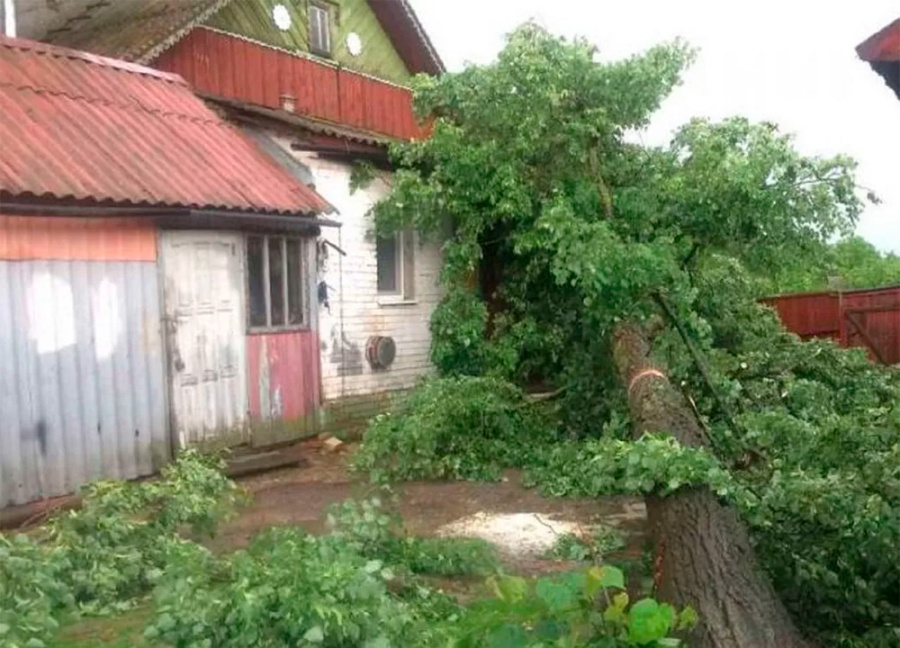     Белорусы, пострадавшие от непогоды, могут бесплатно пожить в приюте. Что для этого нужно?