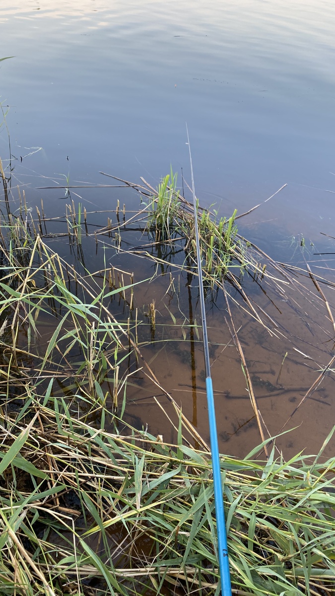 Обязательно поплавочил.