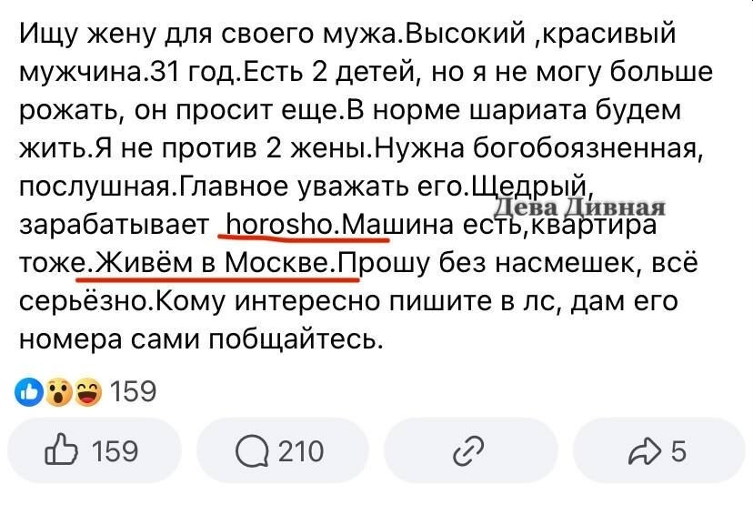 Такое письмо гуляет по соцсетям.