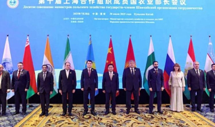    Фото: Минсельхоз РФ