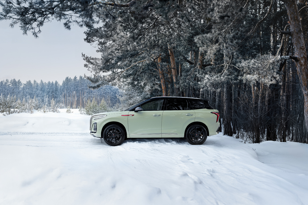 Такую зиму, как на фото, часто можно встретить только за городом. 