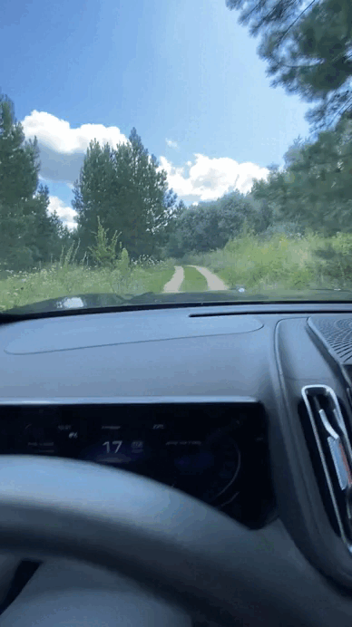 На переднем приводе по лесной дороге – легко. Клиренс и шины решают. 