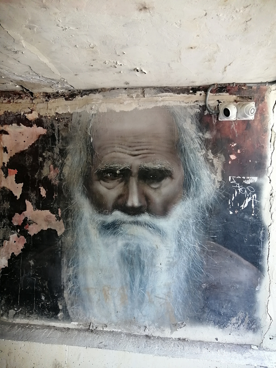 Портрет Л.Н.Толстого