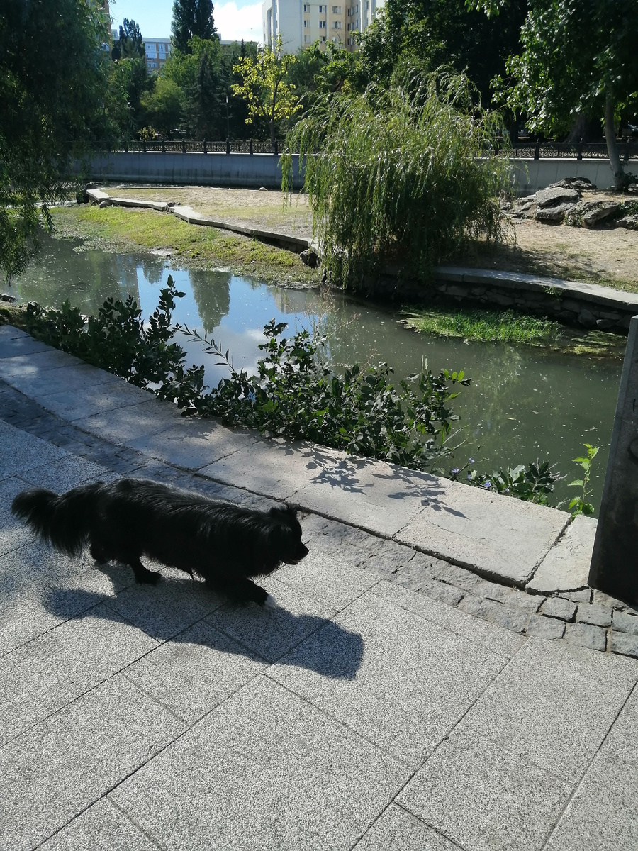 Река Салгир