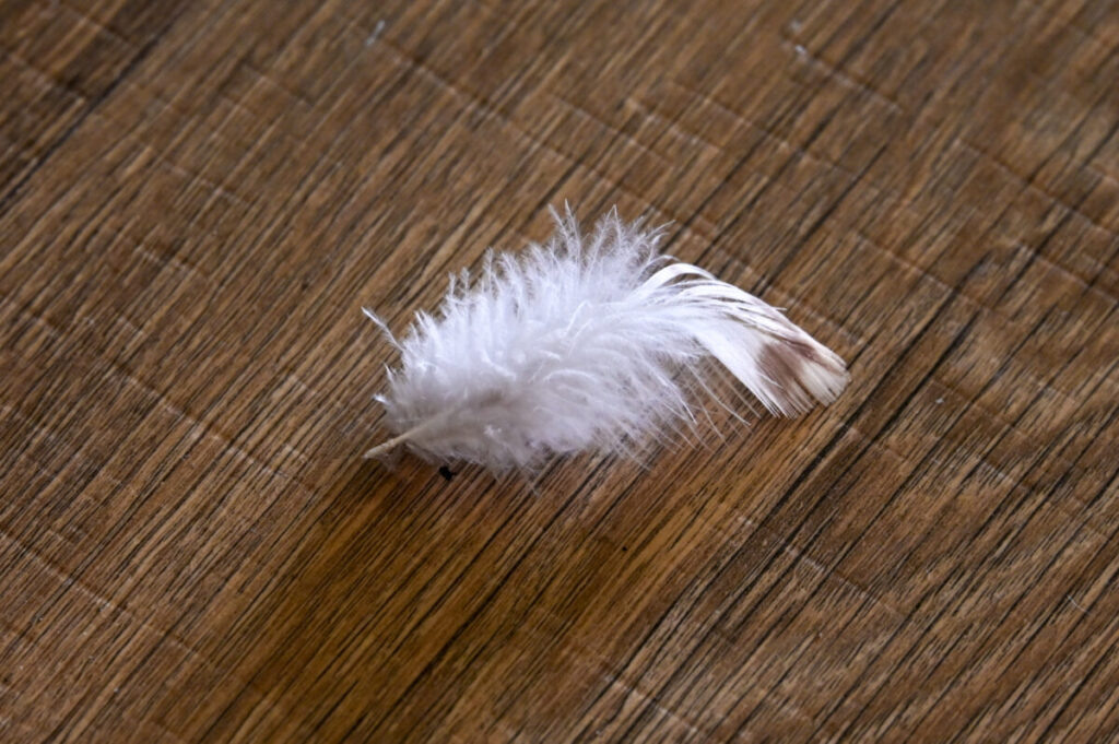 Фото: Вера Подъячева / АСИ