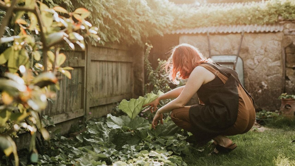    Фазы Луны действительно влияют на рост растений. Фото: freepik