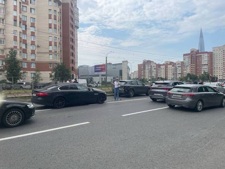     Фото: МК в Питере.