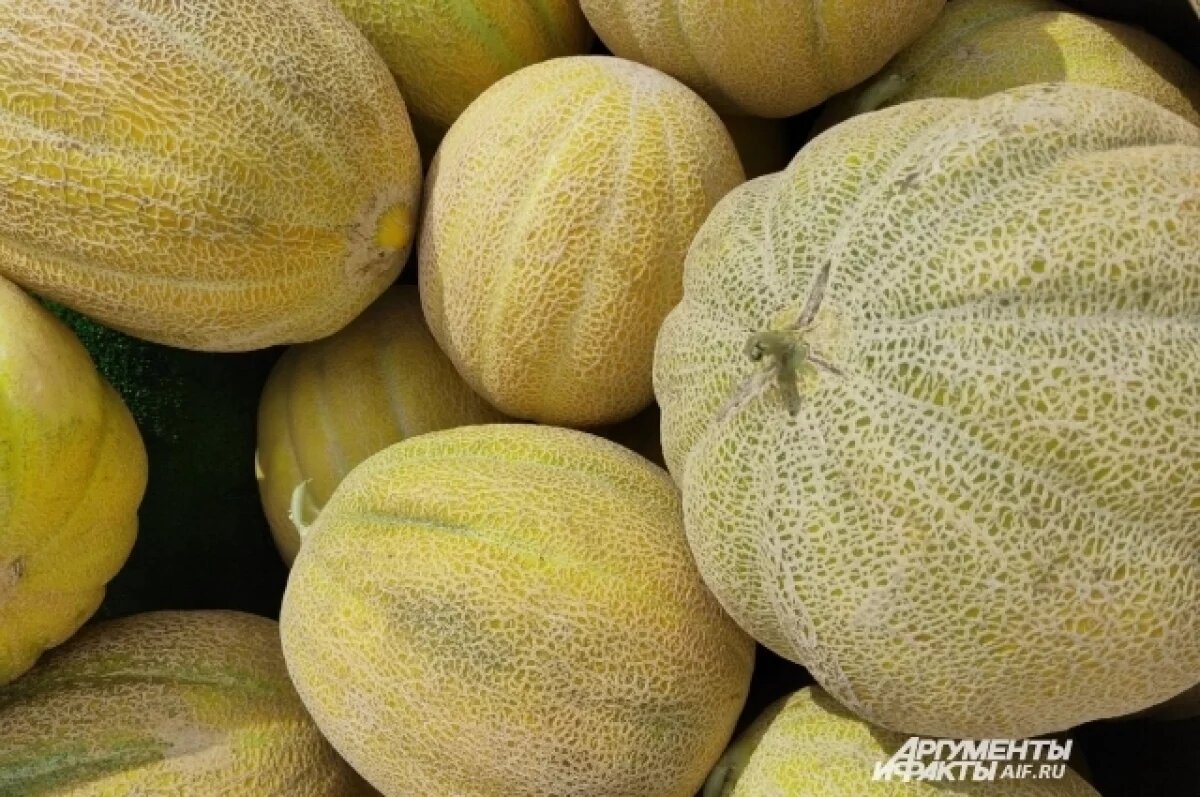    В Роспотребнадзоре рассказали, как выбрать дыню