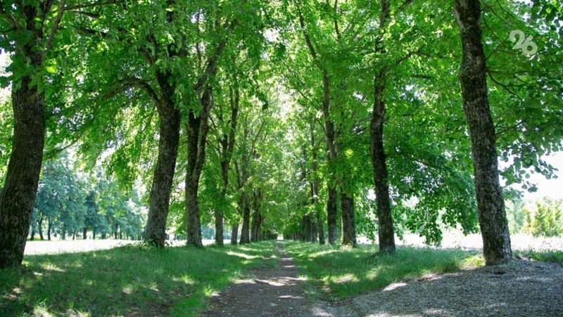      Фото: ИА «Победа26»