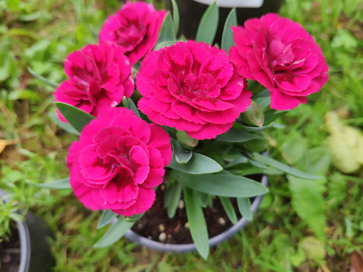 Фото автора канала.